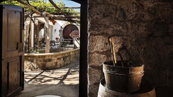 Visite exclusive de l'île d'Ischia avec visite de vignoble