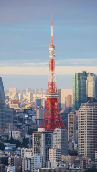[Tokyo, Japan] urban private charter 1-day tour—itinerary and attractions can be adjusted—customize surrounding areas