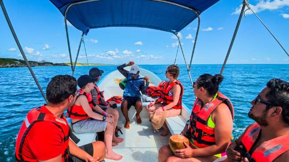 Tulum: Sea Turtle Snorkel, Reef & Ruins from the Sea