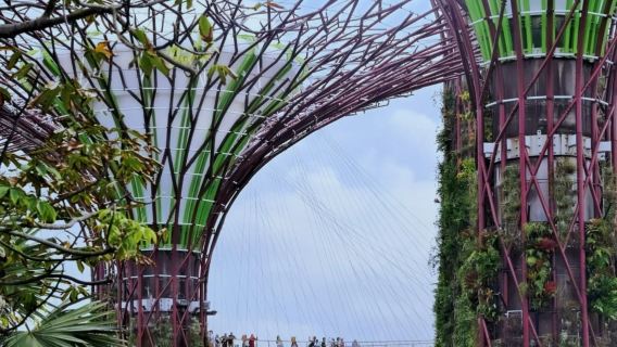 Singapore Merlion + Gardens by the Bay + Chinatown + Kampong Glam + Haji Ln 1-day tour