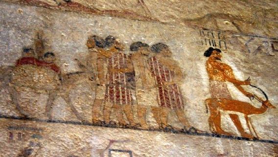 LuxorTours
