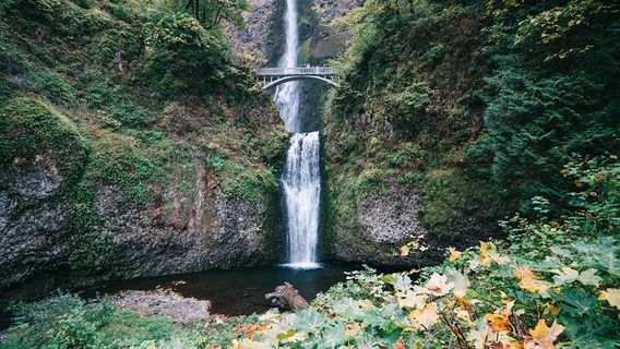 PortlandTours