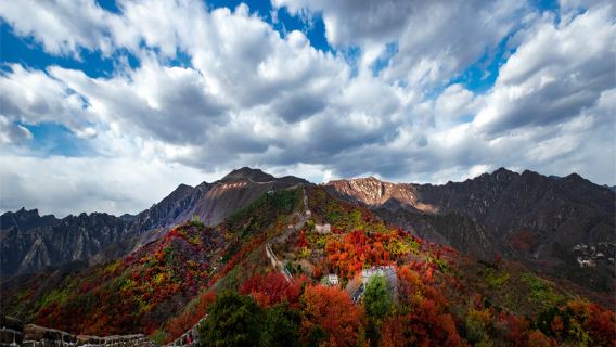 慕田峪長城専用車ツアー、入場チケットとシャトルバス付き、1家族1台車、五環路以内の送迎サービス