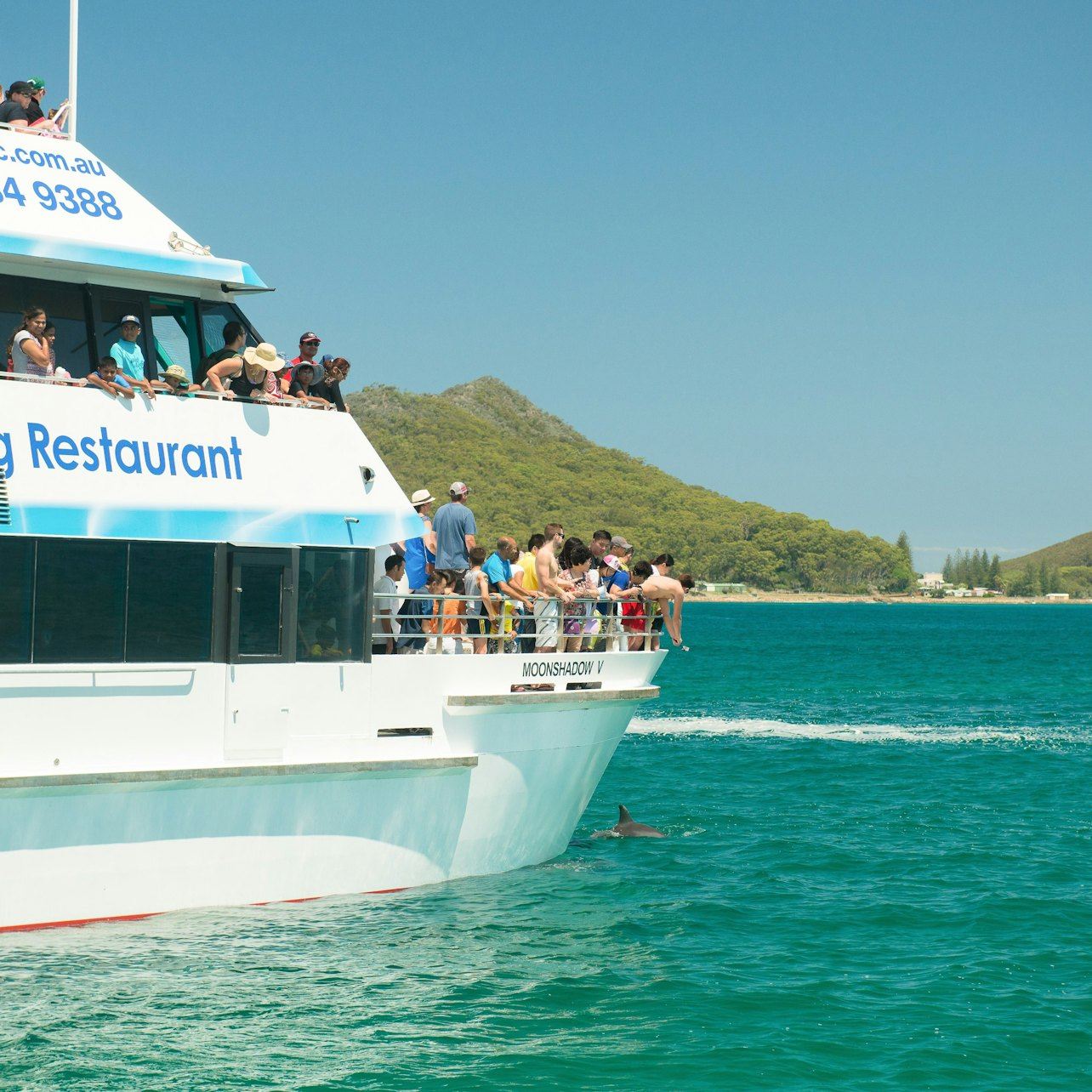 Port Stephens: Day Tour from Sydney + Dolphin Watching Cruise