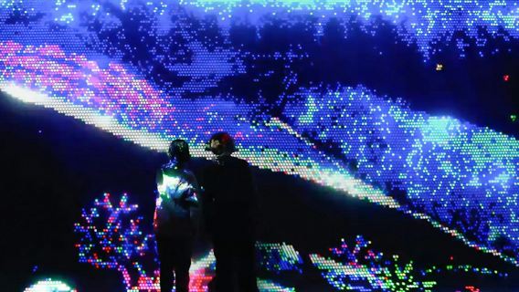 Illuminarium Las Vegas : Billet d'entrée