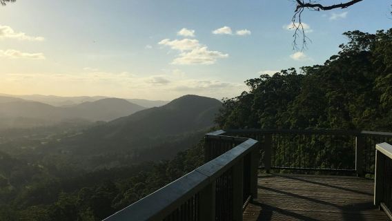 Sunshine Coast Hinterland Day Tour: Scenic, Food, Cheese and Wine Tour