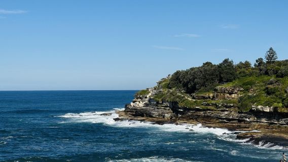 หาดบอนได + หอศิลป์ + ไฮด์ปาร์ค + มหาวิหารเซนต์แมรี่ + บริการภาษาจีนและภาษาอังกฤษหนึ่งวันในซิดนีย์