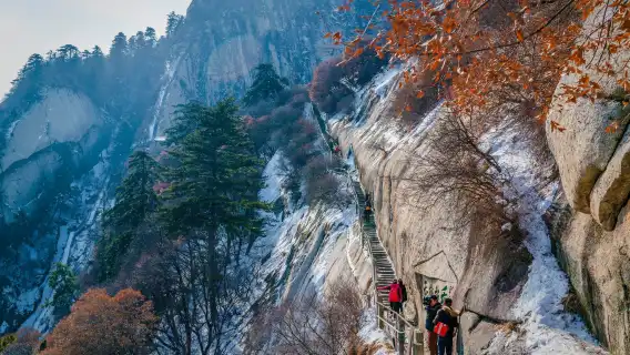 【西安起止】華山一日遊市區二環以內飯店上門接+贈登山禮包