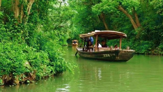 1-Day Hangzhou Tour: Shangtianzhu Faxi Temple + Lingyin Feilai Peak + Xixi Wetland Park + Qiantang River (Chinese & English Service Available)