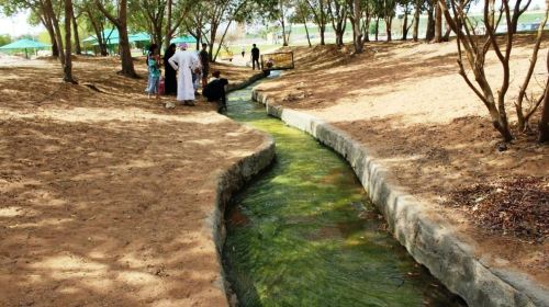 Al Ain full-day with lunch from Dubai Day Tours 8