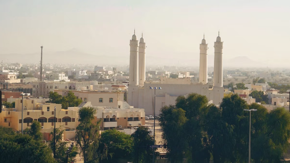 阿聯酋艾因動物園+艾因駱駝市場+沙漠綠洲艾因一日包車團