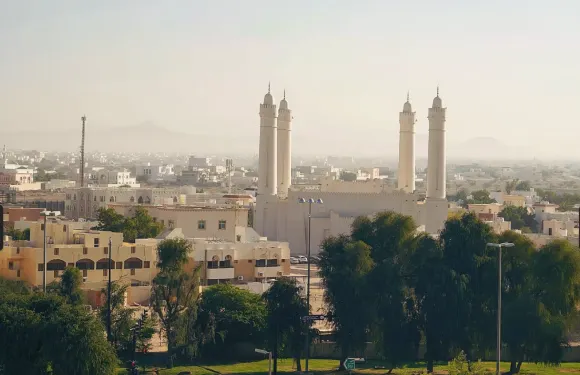 阿聯酋艾因動物園+艾因駱駝市場+沙漠綠洲艾因 一日包車遊