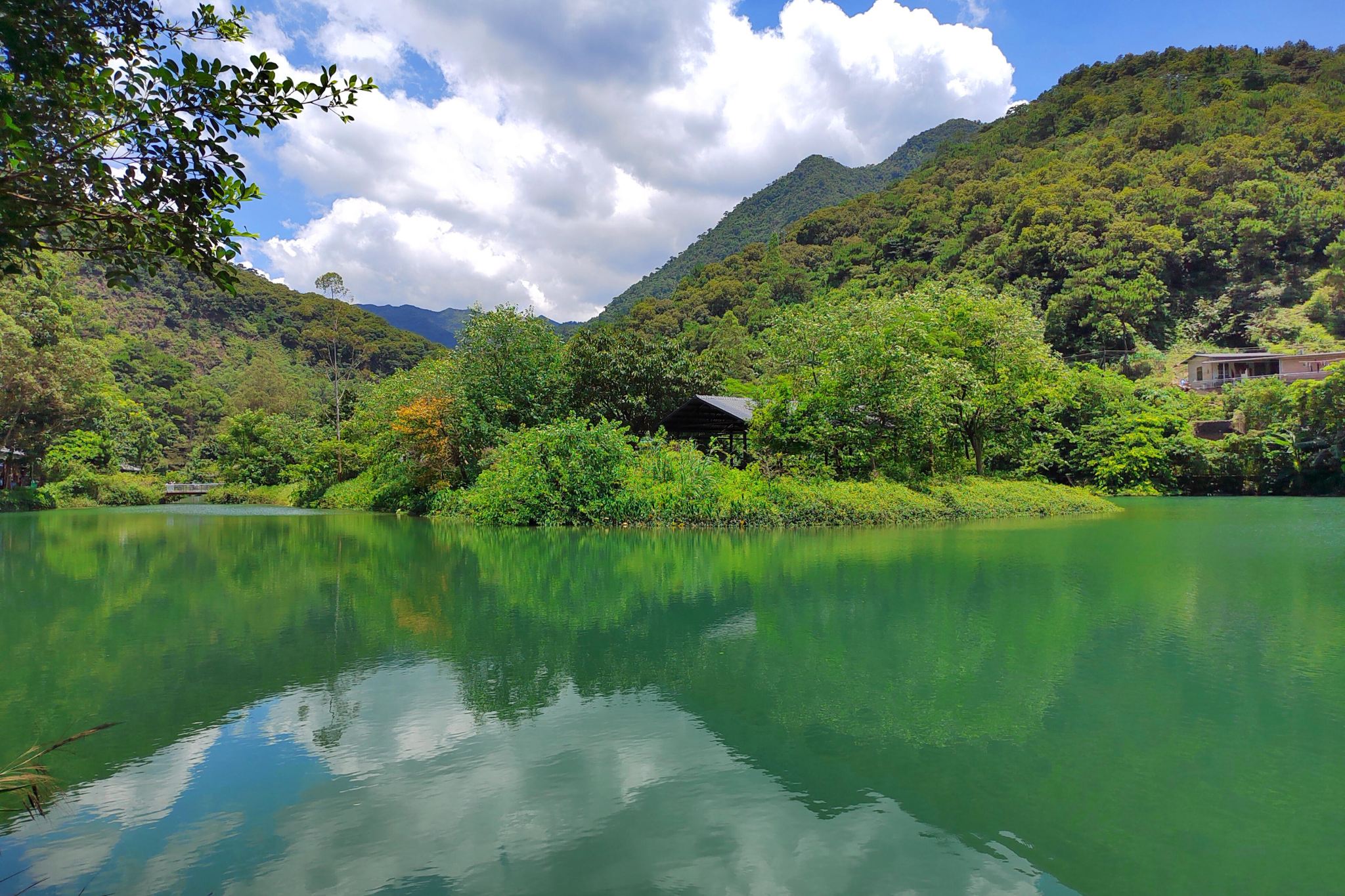 Zhaoqing 1-day tour with private charter: Dinghu Mountain + Yanzhou Island + Yanyang Lake + Ziyungu (English service available)