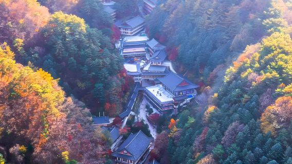 ChungjuTours