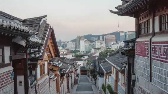 Book after consultation/Seoul Gwanghwamun Blue House Samcheong-dong Gyeongbokgung Palace Myeong-dong Hongik University Seoul Tower/Airport/Point-to-point car service/Tour guide with driver/Private car service