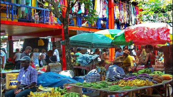 Mahé Island: Island Highlights Guided Day Trip with Lunch