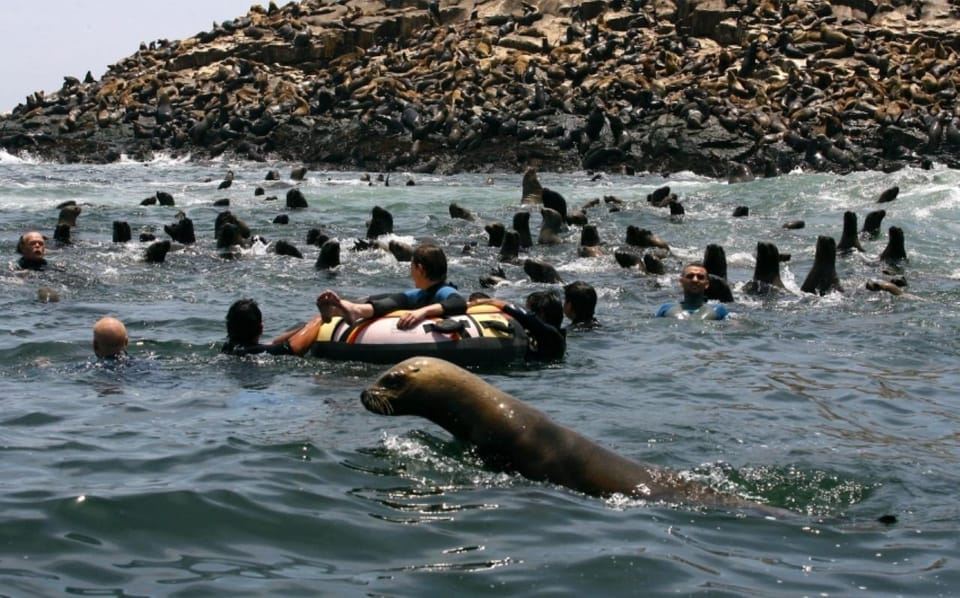 Lima: Excursion to Palomino Island | Entrance, sea lions |