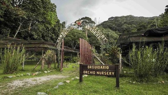 Tur Perahu Gatun, Suaka Kukang, Pameran Satwa Liar + Prasmanan