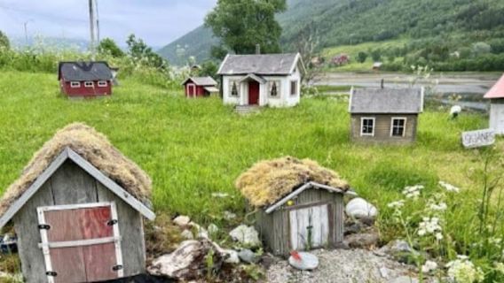 Tromsø: tour dei fiordi e delle isole Sommarøy con picnic al salmone