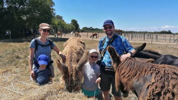 Marais Poitevin: Discovery day in the footsteps of the Baudet