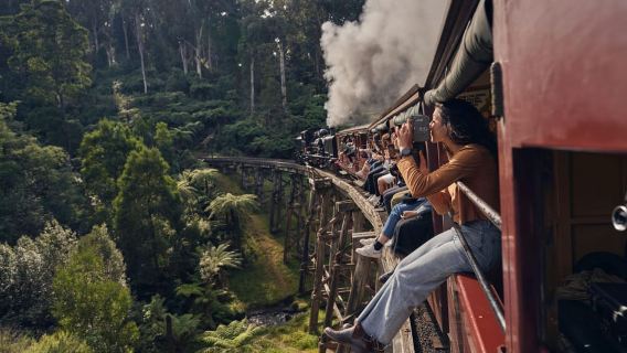 Desde Melbourne: Tren Puffing Billy y recorrido por la vida silvestre de los pingüinos