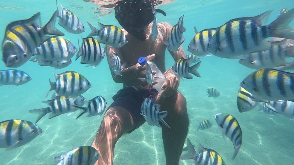 Secret Island Gili Nanggu, Sudak and Kedis Snorkeling tour