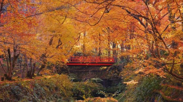 【大阪京都一日遊丨9-13小團】南禪寺&三千院&貴船神社巡遊