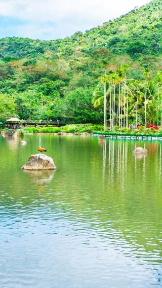 ทัวร์ส่วนตัวหนึ่งวันหุบเขาต้นหมาก ซานย่า: สำรวจความลับของหุบเขาสายหมอก