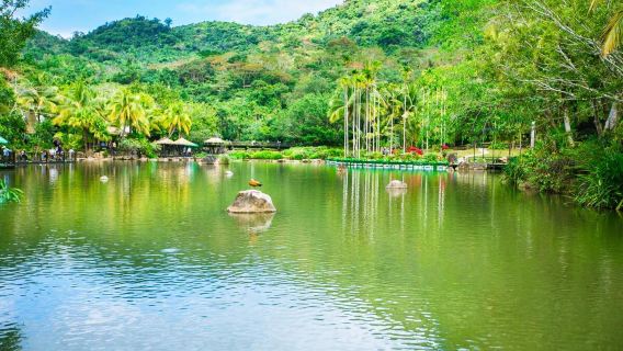 Excursión privada de un día a la zona de turismo cultural de la selva tropical de Sanya Yaroda (chárter + entradas)