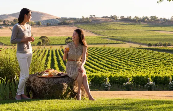 澳洲亞拉河谷品酒半日遊: Chandon+Yering