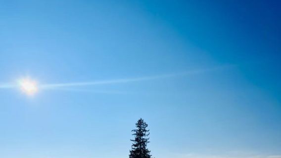 美瑛孤獨樹+白鬚瀑布+旭山動物園+森林精靈露台【定制包車】