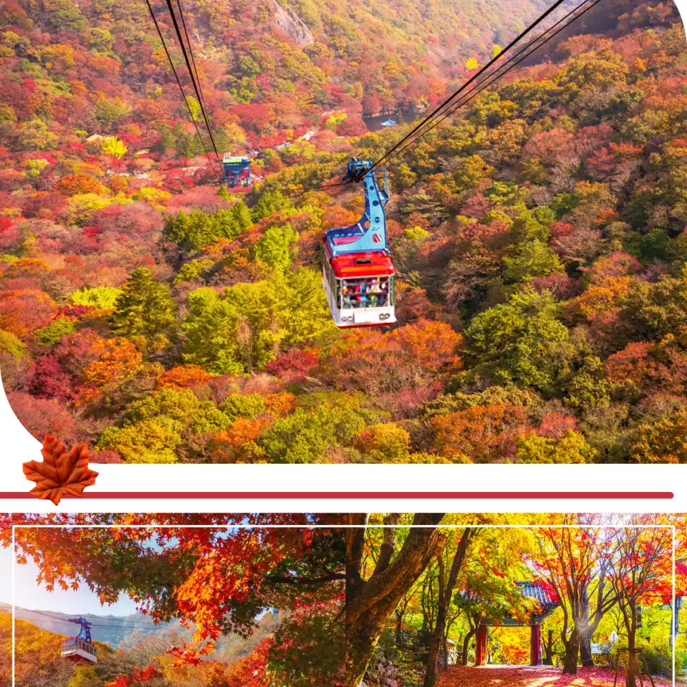 韓國賞楓｜內藏山國立公園一日遊｜秋季限定・楓葉絕景｜首爾/釜山出發