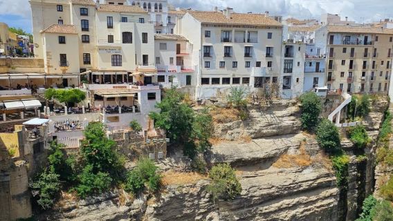 Seville to Ronda and Granada private charter day tour (admission tickets can be booked for you)