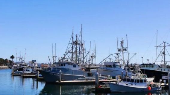 美國洛杉磯來回聖地牙哥+拉霍亞海灣+老城-市區精選一日遊