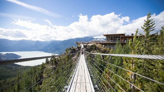 Merveilles de Whistler : frissons en téléphérique et chutes Shannon en une journée