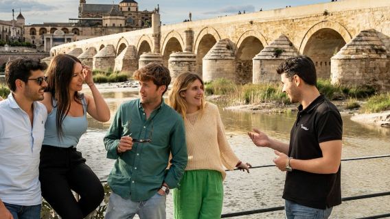 Córdoba: Tur Sehari Kelompok Kecil dari Seville + Masuk Masjid-Katedral