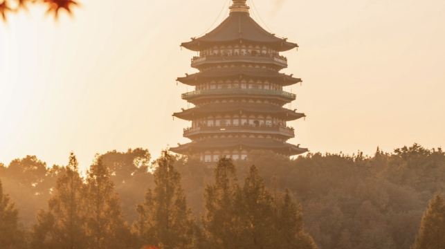 杭州上海蘇州多地出發|西湖遊船靈隱飛來峰純玩一日遊|杭州含雷