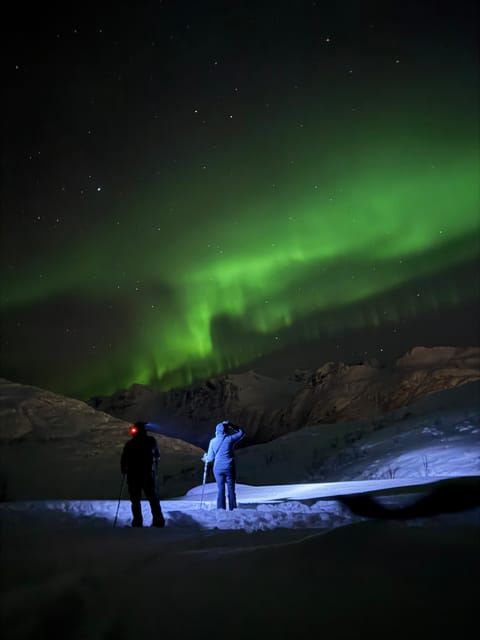 Tromsø: Artic Terrain Snowshoe Expedition with Local Guides