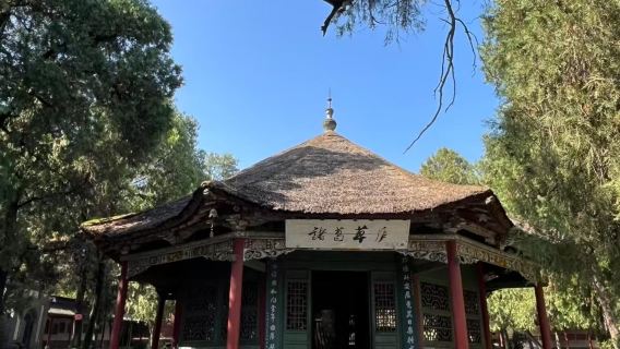 南陽市區包車來回｜臥龍崗武侯祠+漢畫館+南陽府衙+市博物館