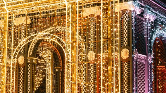 Vienna: tour natalizio in autobus + luci imperiali nel giardino del castello di Schönbrunn