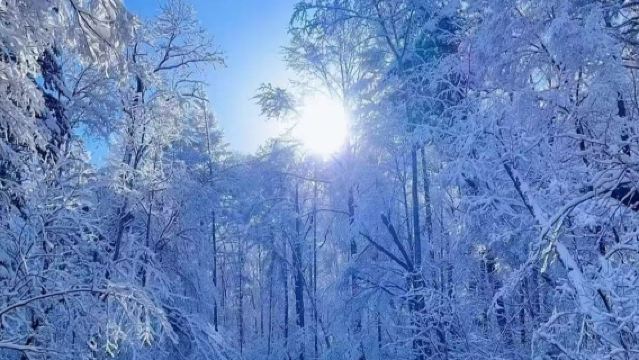 Gunung Changbai [Hanyut Ajaib] + [Ski Damai/Raja Pinus Merah 2 Jam] Bermain Sepuasnya