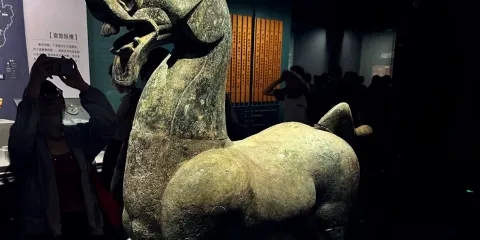 芳華說廣西壯族自治區博物館講解半日遊【講解2.5小時】