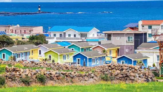 西歸浦潛水艇+泰迪熊博物館+橘子咖啡+偶來市場一日遊【包車】