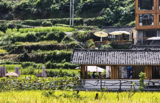 貴州黔東南肇興侗寨+加榜梯田一日遊中英文服務