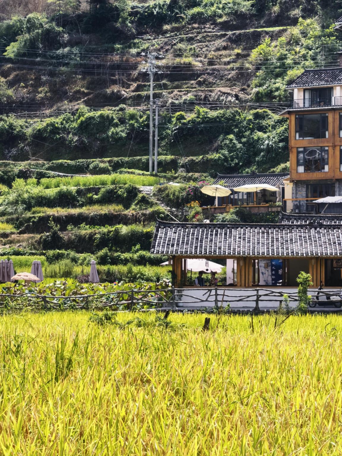Excursión de un día con servicio en chino e inglés a la aldea dong de Zhaoxing y las terrazas de Jiabang en la Prefectura autónoma miao y dong de Qiandongnan, Guizhou