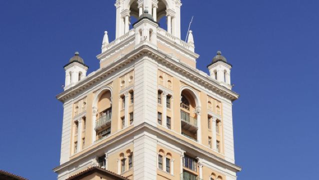 Piccolo Gruppo Max 12: Tour di un Giorno a Miami e al Parco Nazionale delle Everglades