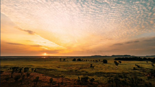 澳洲北領地 達爾文卡卡杜1日遊（英文團）