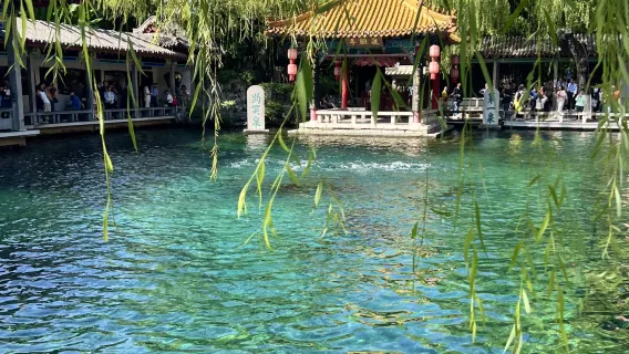 Entire regions of Rizhao/Zibo/Tai'an/Dongying/Yantai in Shandong|Professional Translation and Guide Services in Chinese/English/Japanese/Korean/German and Other Languages - City Walk • Business Travel