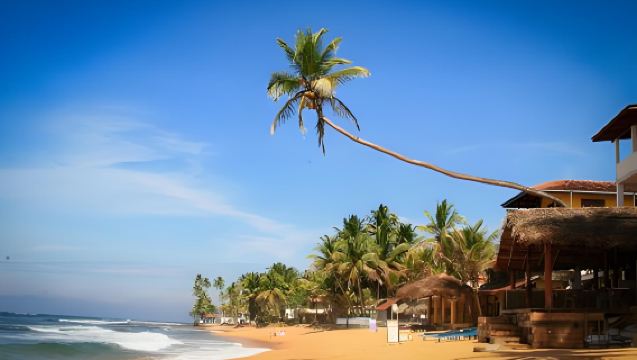 ศรีลังกา | เมอริสสา + ชิงช้าใต้ต้นมะพร้าว + ชาวประมงคอกกะเล + หาดอูนาวาตูนา