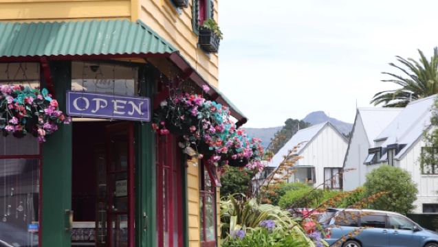 紐西蘭阿卡羅阿中文包車一日遊【行程可調】